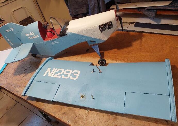 Avion G vercor Worlds Swallest JIVARO 01