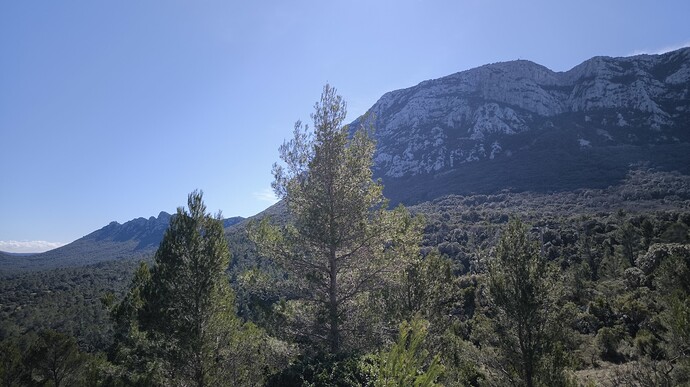 IMG_20240310_113306_copy_1638x921