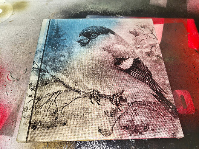 IMG_20251209_071126895