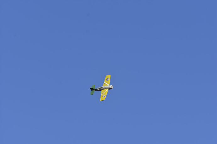 _DSC0928