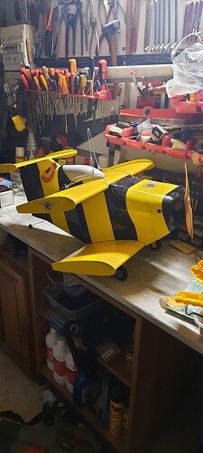 bumble-bee