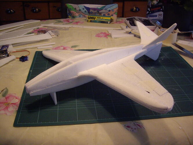 IMGP7830
