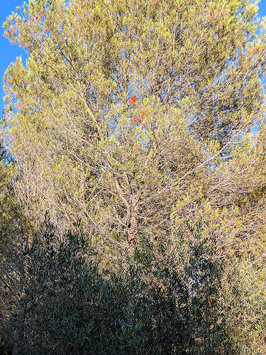 PXL_20250717_174244068