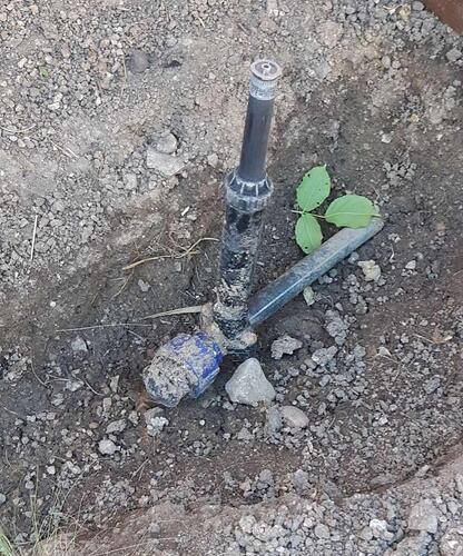 Compress_20220808_120248_8888