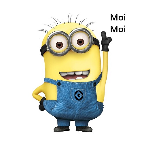 Moi -minion-moi-moche-et-mechant