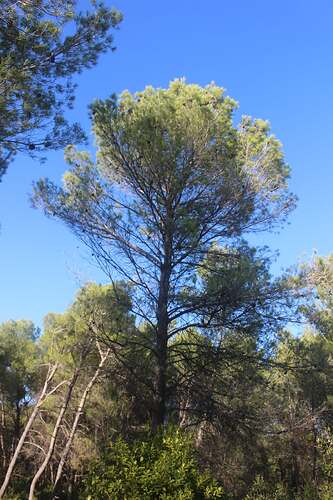 FB_IMG_1760331728377