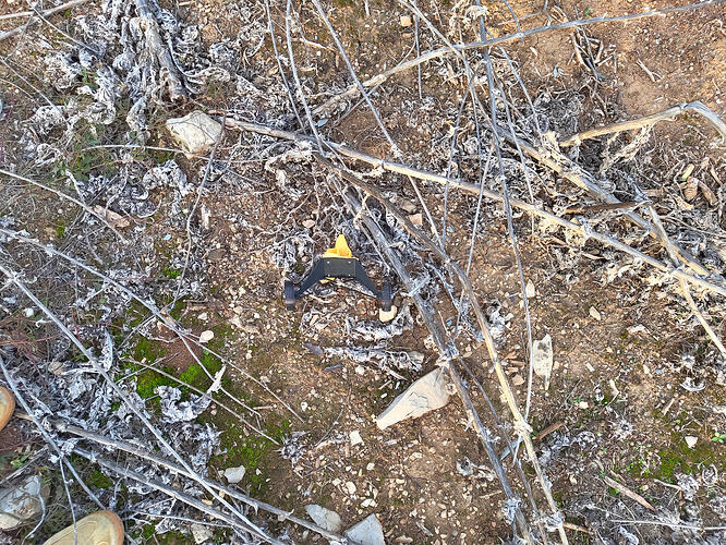 IMG_20251129_161910460