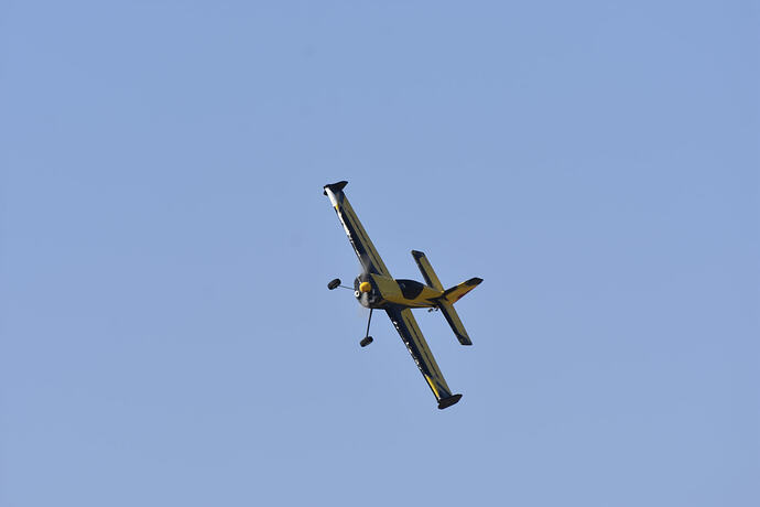 _DSC0958