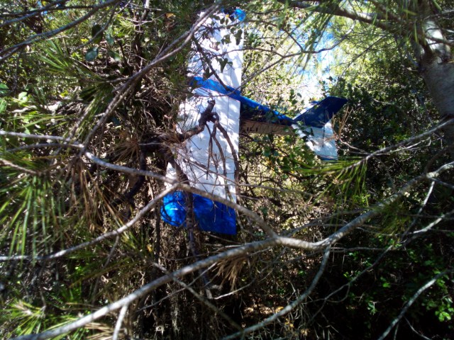 image0000001